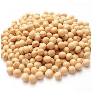 Farine de soja de qualité supérieure pour l'alimentation des poissons et des animaux aquatiques |   Farine de soja de haute qualité pour la fabrication d'aliments pour volailles - Product Image 2