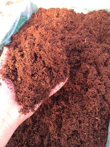 Cocopeat natural para la agricultura-Hecho en Vietnam, ¡Grandes ofertas para compradores a granel! - Product Image 6