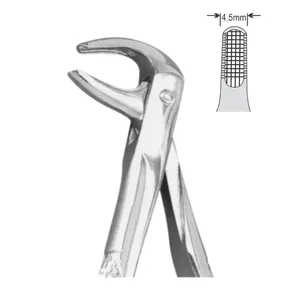 Pinzas de Extracción Manuales de Acero Inoxidable, Instrumentos Quirúrgicos Dentales, Patrón Estándar Inglés para Molares Centrales Superiores - Product Image 2