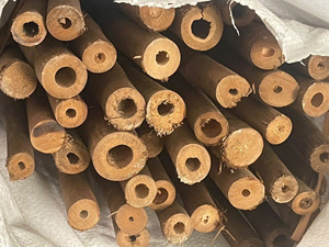 Vietnam Natural Bamboo <b>Pole</b> Strong <b>Garden</b> Stakes <b>for</b> Plant Support Farming Nursery and Agricultural Use - Product Image 6