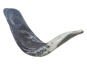 Shofar Auténtico de Cuerno de Carnero, Cuerno de Oración Judío para Festividades, Shofar Tradicional Kosher de Cuerno de Carnero con Acabado Completo por Curio Craft - Product Image 6