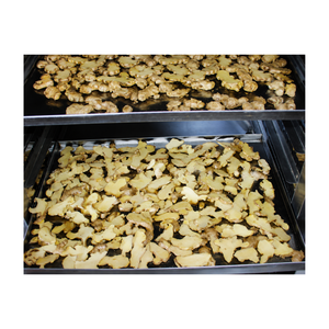 100% Natural Vietnam Origin Premium Ginger Tea Bags OEM ODM Private <b>Label</b> Service - Product Image 5