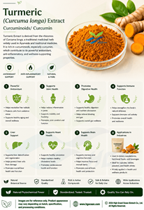 โรงงาน HGO จัดจำหน่ายโดยตรง สารสกัดสมุนไพรขมิ้น (Curcuma Longa) เกรดอาหาร (Curcuminoids/Curcumin 50% 95% สารสกัด) ผลิตภัณฑ์สกัด - Product Image 5