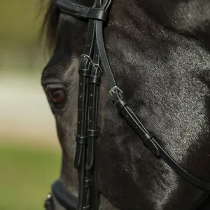Horse Leather Bridle 100% Genuine Leather Black Colors Softy Padded Stainless Steel Hardware <b>Leaf</b> Design Fancy Stitching - Product Image 3
