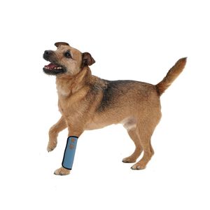 Manicotti in Neoprene Riflettenti per Animali Domestici per Protezione e Fissaggio delle Articolazioni - Product Image 2
