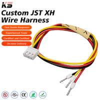 Kabel Harness Kustom Oem Jst Ph 2.0 dengan Terminal Blok 2 Pin untuk Kipas Motor, Lampu LED Strip, Mesin Industri, dan Pemrosesan