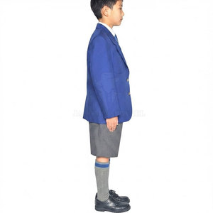 Uniforme Escolar Directo de Fábrica para Niños con Camisa, Pantalones y Servicio de Logotipo Escolar Personalizado - Product Image 3