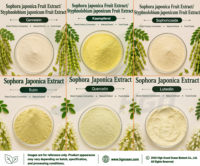 HGO Factory Direct Supply Zuiver Natuurlijk Sophora Japonica Poederextract Voedingskwaliteit 90% 98% Luteoline Gestandaardiseerd Plantaardig Extract
