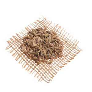Graines de Jeera entières indiennes pour les acheteurs internationaux en quête d'ingrédients aromatiques, prix de gros et approvisionnement fiable - Product Image 3