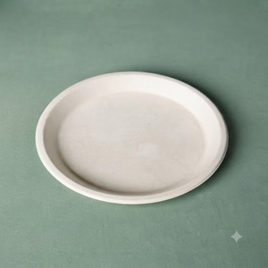 Plato Redondo de Bagazo Blanco Premium de 12 Pulgadas - Vajilla Desechable Biodegradable y Compostable de Alta Calidad - Product Image 3