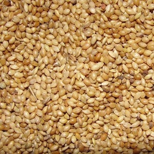 Graines de millet foxtail sans gluten, céréales complètes riches en fibres et en protéines pour la transformation alimentaire et la vente en gros - Product Image 3