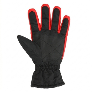 Gants de ski d'hiver imperméables personnalisés en gros, gants thermiques pour la neige, gants de sport d'extérieur coupe-vent - Product Image 4