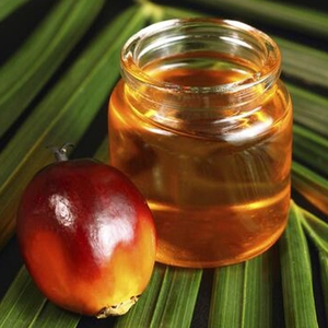 Aceite de Palma Refinado Premium para Cocinar, Suministro al por Mayor y Stock Disponible - Product Image 4