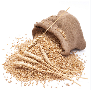 Granos de Trigo Blando de Primera Calidad, Venta al Por Mayor, Listos para Enviar, Grado Alimenticio, Producto de Exportación de Alta Calidad - Product Image 5