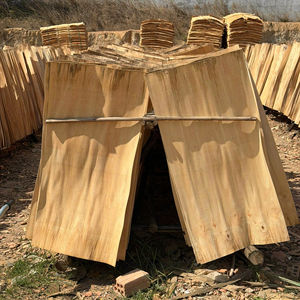 100% Natural Vietnam <b>Eucalyptus</b> Rotary Cut Veneer Eco-Friendly & Durable 1270x640mm for Plywood Manufacturing - Product Image 1