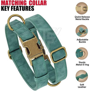 Collar de Cuero para Perro con Correa Clásica a Juego, Ajustable, con Hebilla Metálica y Anillo en D Cosido para Paseos Diarios - Product Image 2