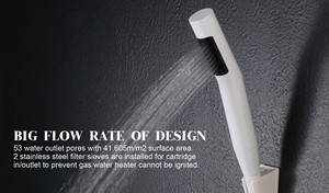 Cartucho de filtro de agua de mano de ducha de alto flujo personalizado OEM/ODM plástico ABS pulido para hoteles cocinas uso doméstico - Product Image 4