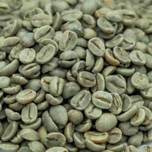 เมล็ดกาแฟโรบัสต้าสีเขียวเวียดนาม – แบบธรรมชาติ ไม่ผ่านการคั่ว สำหรับขายส่ง OEM ODM เกรดส่งออก คุณภาพเก็บเกี่ยวสดใหม่ ความชื้น 12% - Product Image 1