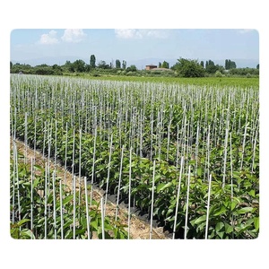 เสาไฟเบอร์กลาสคุณภาพสูงสำหรับรองรับต้นไม้  แท่งไฟเบอร์กลาส - Product Image 2
