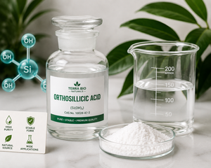 Ácido Monosilícico Estabilizado, Ácido Silícico, Ácido Ortosilícico (Ácido Mo Silícico), Fertilizante Líquido para Mejorar el Crecimiento de Cultivos, Terra Bio - Product Image 1