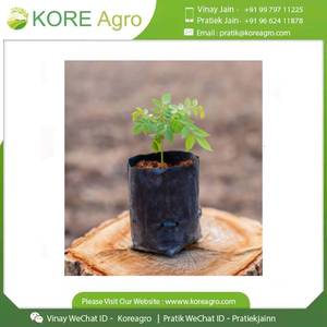 Bolsas de Cultivo Reutilizables para Plántulas, Vegetales y Flores en Diferentes Tamaños - Product Image 2