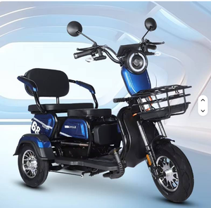 Barra de Apoyo Trasera de Alta Gama con Motor de 500W/800W y Batería de 48V, Aleación de Aluminio, Fácil Instalación para Adultos - Product Image 1