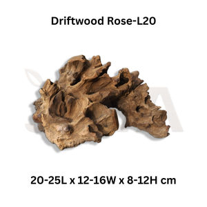 Bois flottant décoratif écologique pour terrarium et aquascape Java - Rose-L20 - Décoration d'aquarium - Product Image 2