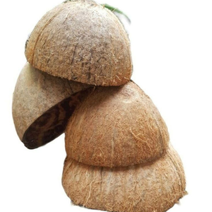 Coques de noix de coco naturelles super sèches de haute qualité du Tamil Nadu pour des systèmes efficaces de gazéification de biomasse - Seeniz - Product Image 1