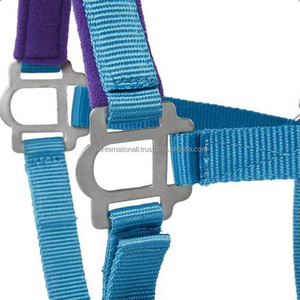 Licou de cheval en Nylon Double couche personnalisé, couronne et nez en satin, réglable, matériel contrasté, rembourré, souple - Product Image 6