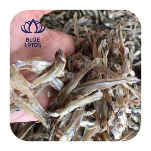 Vietnamese Dried Anchovy Fish at Best Price from Blue Lotus Premium Quality for Snacks and Flavorful Dishes - Product Image 1