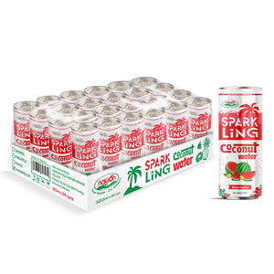 Bebidas Refrescantes Nawon, Agua de Coco Carbonatada en Lata de 320 ml, Jugo de Frutas, Servicio OEM de Marca Privada - Product Image 1