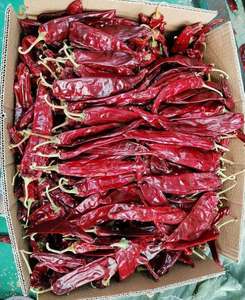 Piment rouge naturel frais et épicé, sans tige, du Vietnam, marché alimentaire international Giang, qualité supérieure, export en vrac - Product Image 4