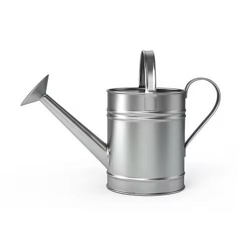 ตามที่แสดง