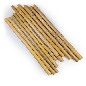 เสาไม้ไผ่คาร์บอนสำหรับตกแต่งต้นไม้ - Product Image 6