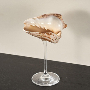 Vaso artesanal para bebidas con conchas marinas náuticas, vasos de alta calidad hechos con conchas marinas naturales. - Product Image 1