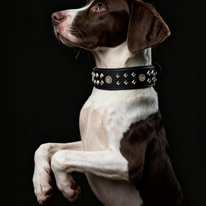 Adjustable Leather <b>Braided</b> Dogs pet Collars with <b>braided</b> detailing for secure and comfortable fit in reasonable price - Product Image 3