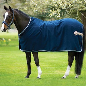 Couverture d'extérieur pour cheval en tissu Oxford bleu, col standard, 2 sangles de fixation, accessoires en acier inoxydable, utilisation extérieure toutes saisons, fabricant - Product Image 6