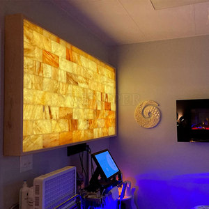 <b>Top</b> Selling LED Himalayan Salt Wall Panel Natural <b>Crystal</b> LED Himalayan Salt Wall Panel Home Decor Style - Product Image 4