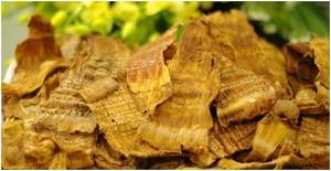 Brotes de Bambú al por Mayor – Producto Vegetal Natural, Fabricante de Vietnam, Alta Calidad // Sr. Tom - Product Image 6