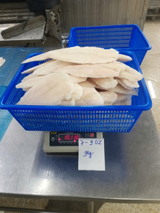 Filet de Pangasius Blanc Congelé, Bien Épluché, 3-5oz 5-7oz, IQF, Filet de Basa du Vietnam, Emballage Sous Vide - Product Image 4