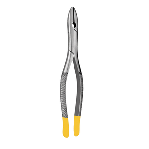 Pinzas de Extracción Dental TC # 1STD Incisivos Superiores y Caninos de Acero Inoxidable con Empuñadura Ergonómica Manual, Certificación CE, Profesional - Product Image 3