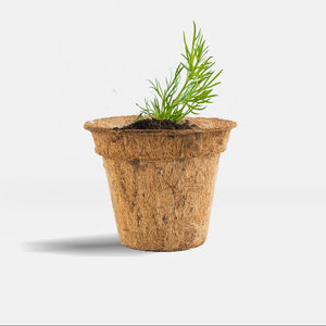 Pot en fibre de coco écologique pour la croissance des plantes de jardin, croissance saine des plantes et jardinage durable - Product Image 2