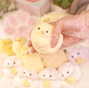 Juguetes Sensoriales Blandos y Agradables al Tacto, Hechos a Mano, con Forma de Pollito, de TPR - Product Image 2