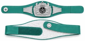 Quality Championship Belts Wrestling Boxing Martial Arts Championship Belts - Product Image 2