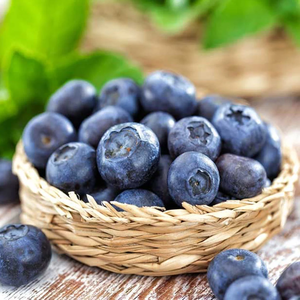 Aceite de Semillas de Arándano |   Proveedor Mayorista de Aceites Portadores Premium, Fabricante de Marca Privada OEM - Product Image 5