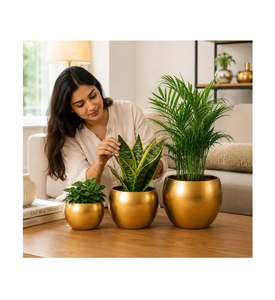 Gold Luxury Brass Planter Pot Hammered Gold <b>Mirror</b> Polished Desktop <b>Flower</b> Pot for Home Office Decor - Product Image 3
