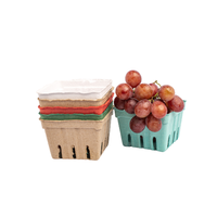 Vassoio in Polpa Modellata Compostabile Antirottura Eco-Friendly per Imballaggio Mele, Vassoio per Frutta Fresca da Produttore Vietnamita, Scatole di Carta