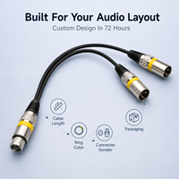 Câble Combo XLR Professionnel Ice Combo, Câble de Signal Powercon DMX512 pour Équipement d'Éclairage Scénique, Assemblage de Câbles Personnalisés OEM ODM