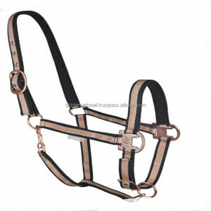 Correa de nailon de doble tono, hecho a medida, ligera, halter de nailon con ojales de latón, hebilla recubierta de latón ajustable - Product Image 3