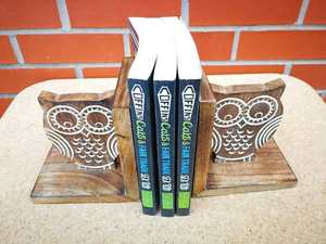 Sujetalibros de Madera Hechos a Mano con Forma de Búho, Decorativos y Tallados, para Estantes y Mesas de Estudio - Product Image 3